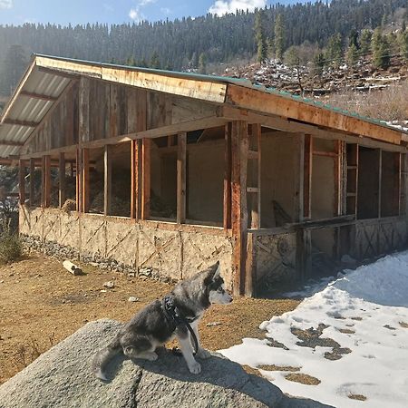 Trimounts-A Boutique Hotel & Wellnes Center In Tirthan Valley Banjār Εξωτερικό φωτογραφία