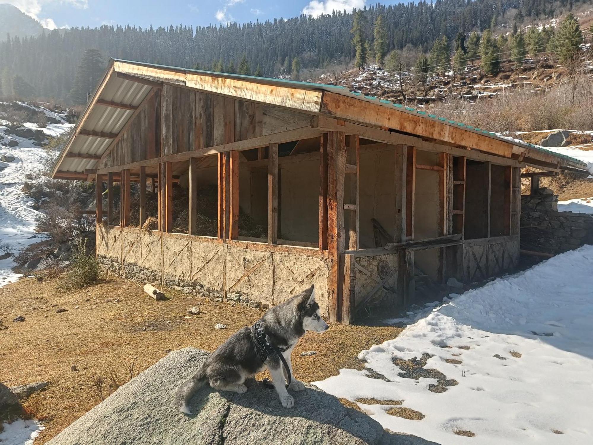 Trimounts-A Boutique Hotel & Wellnes Center In Tirthan Valley Banjār Εξωτερικό φωτογραφία