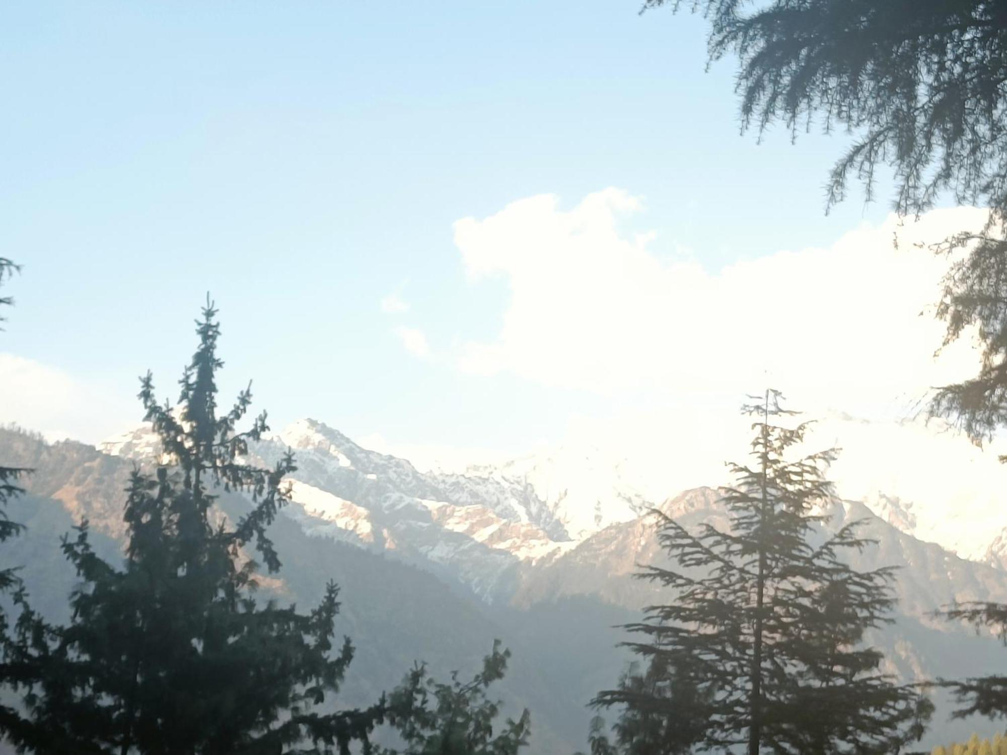 Trimounts-A Boutique Hotel & Wellnes Center In Tirthan Valley Banjār Εξωτερικό φωτογραφία