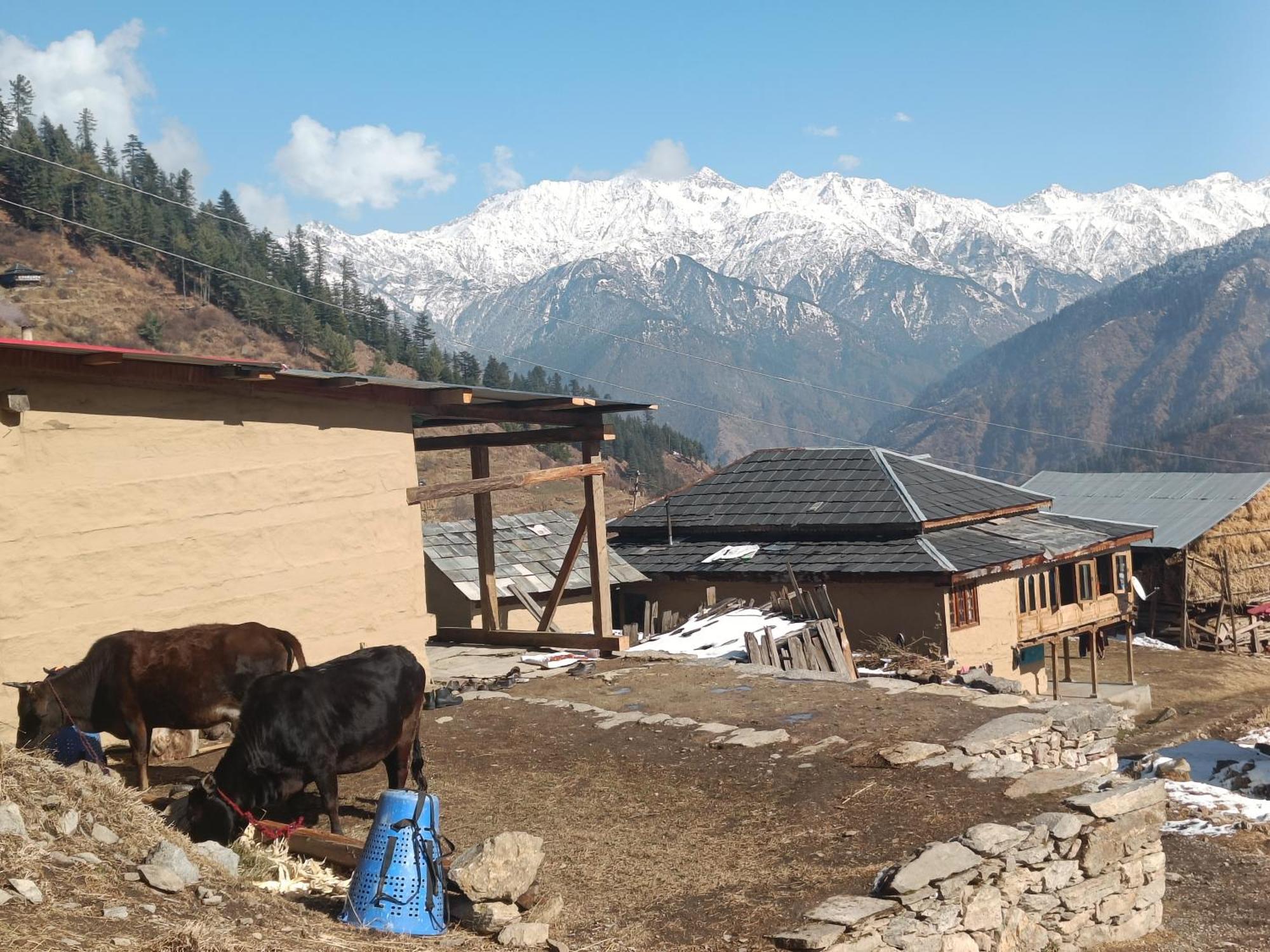 Trimounts-A Boutique Hotel & Wellnes Center In Tirthan Valley Banjār Εξωτερικό φωτογραφία