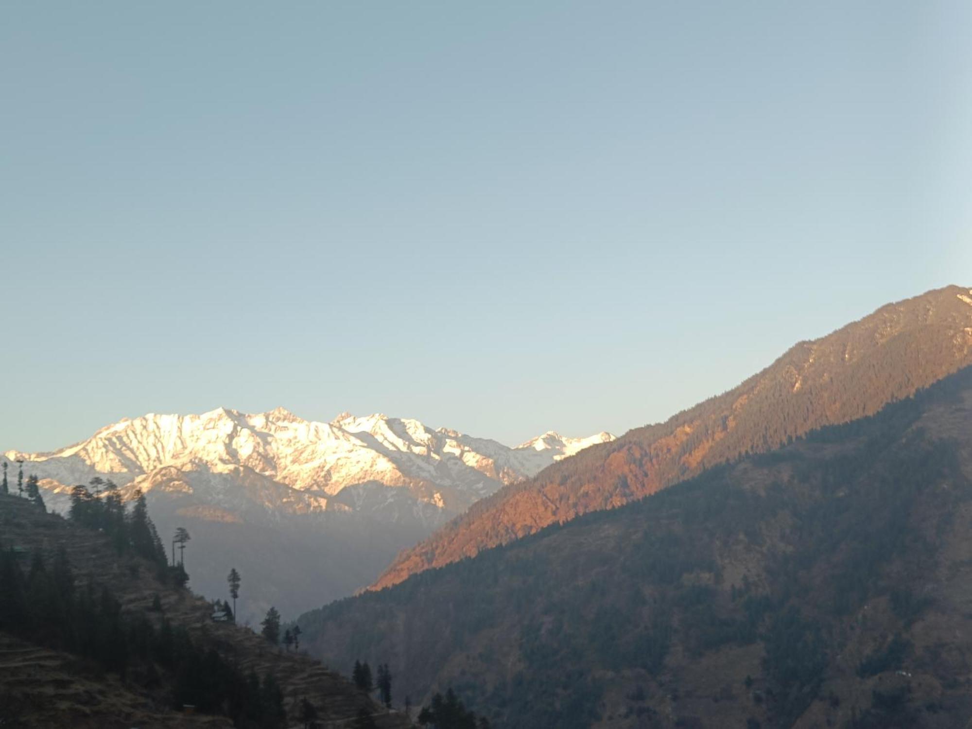 Trimounts-A Boutique Hotel & Wellnes Center In Tirthan Valley Banjār Εξωτερικό φωτογραφία