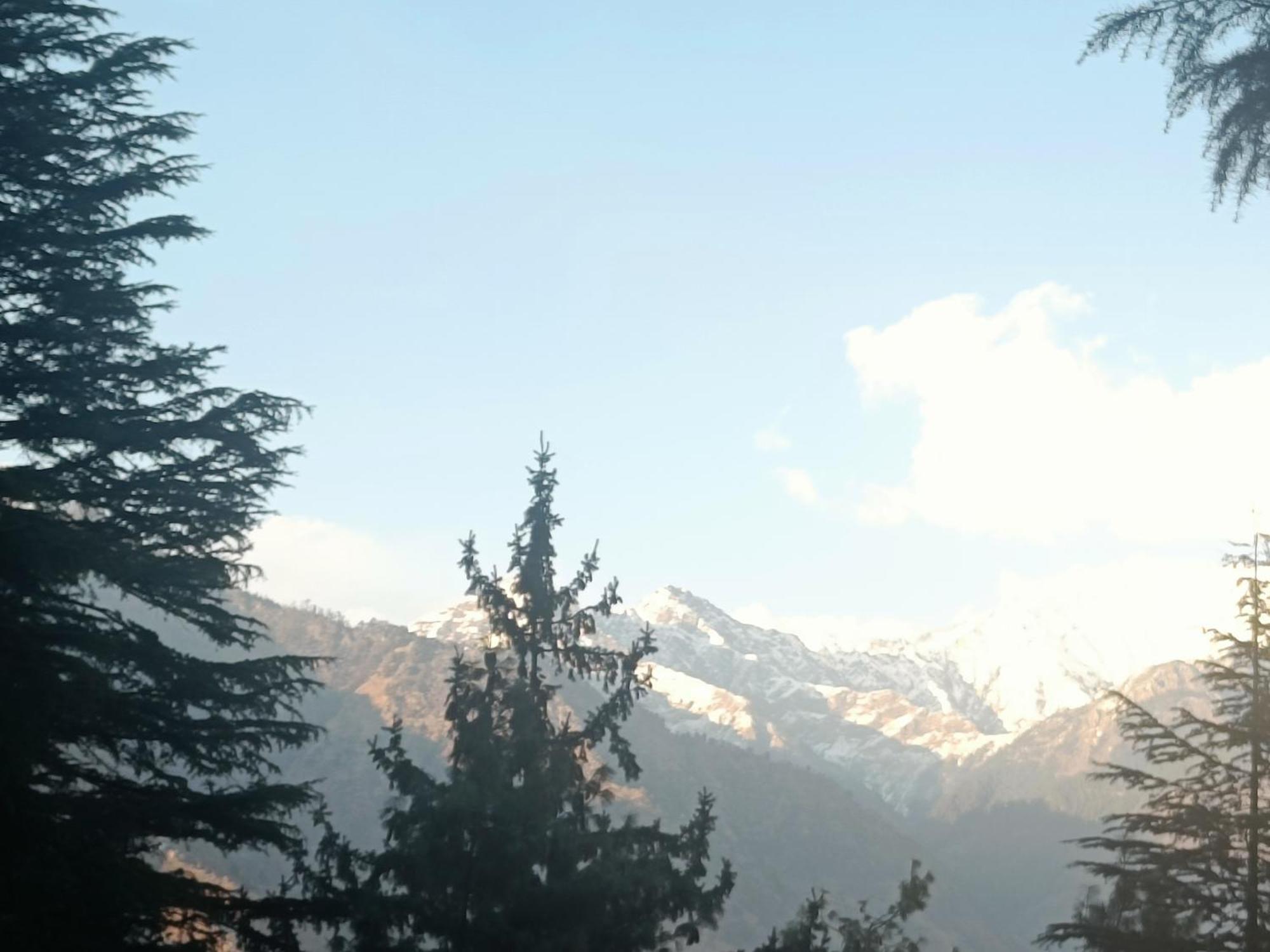 Trimounts-A Boutique Hotel & Wellnes Center In Tirthan Valley Banjār Εξωτερικό φωτογραφία